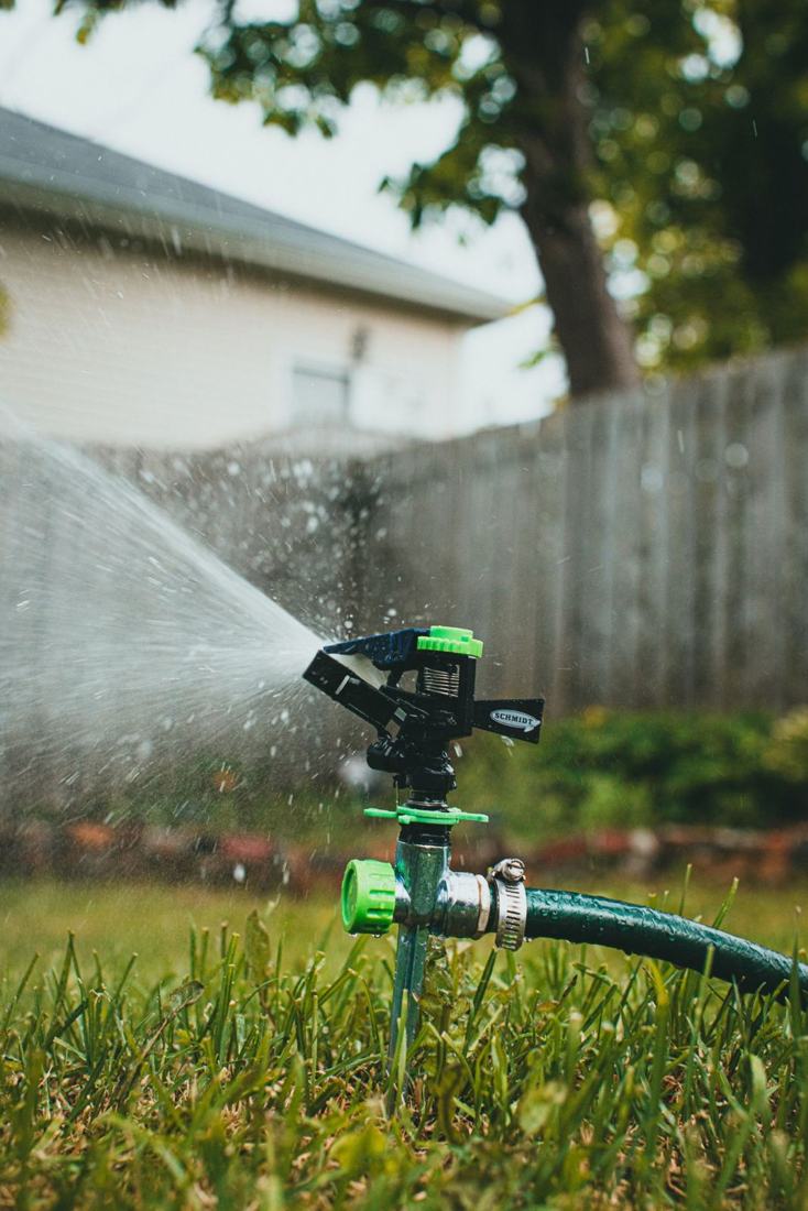 Sprinkler watering a backyard lawn along a fence