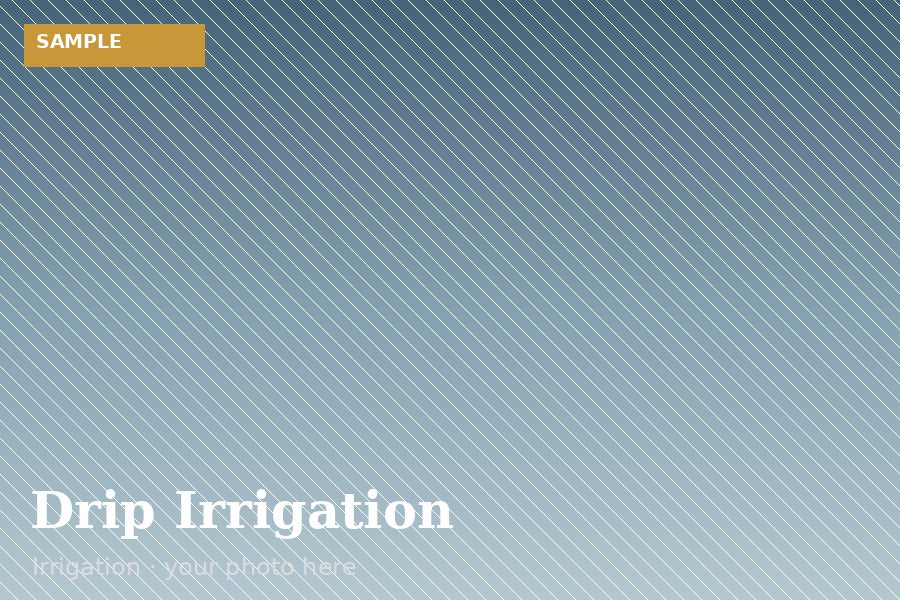 Drip Irrigation