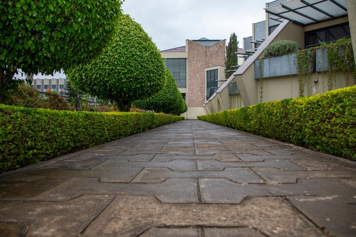 Paver walkway lined with crisply trimmed hedges