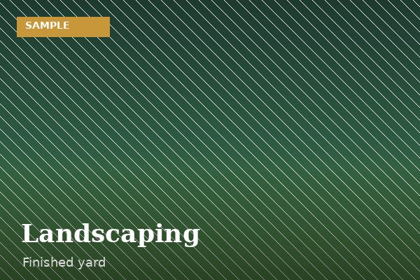 Landscaped yard