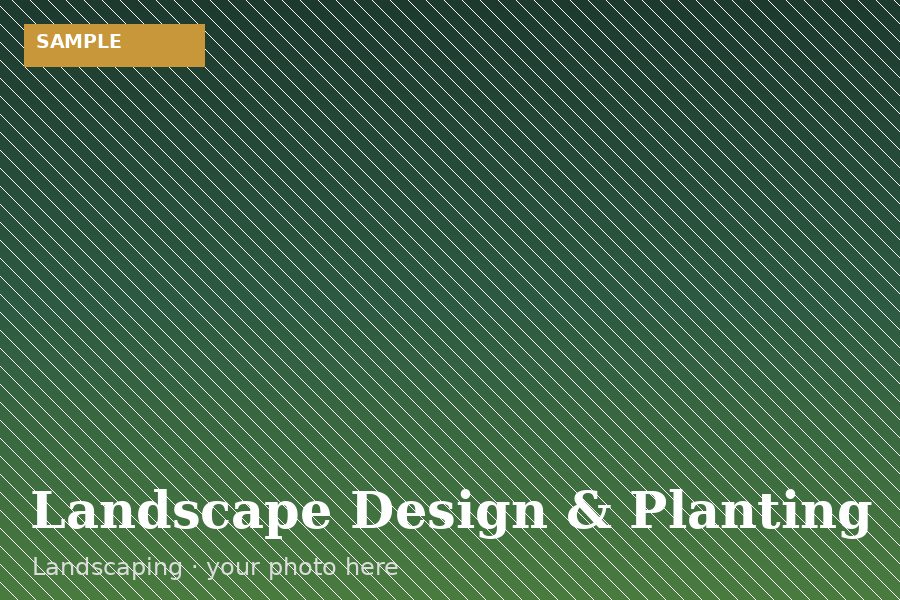 Landscape Design & Planting