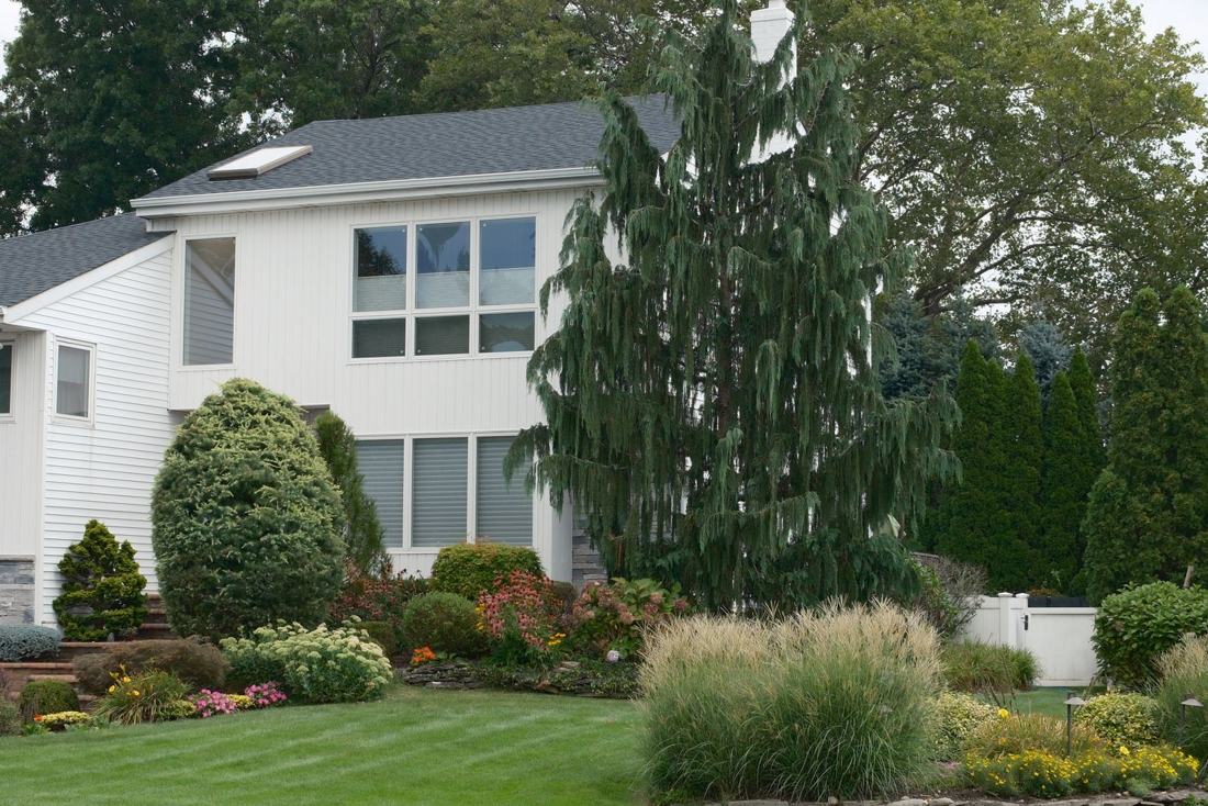 Suburban home with shrubs, ornamental grasses and a green lawn