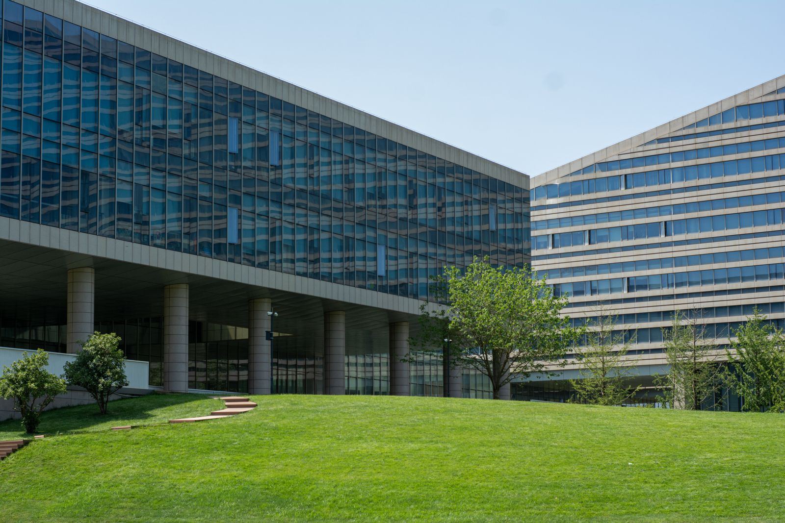 Glass office building with a maintained lawn and young trees